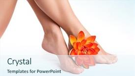  Presentation with white lotus flower - Audience pleasing PPT theme consisting of medical feet - beautiful women's legs with fresh backdrop and a sky blue colored foreground