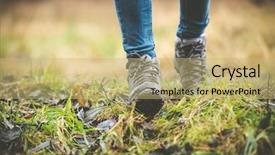  Presentation with fly agaric in forest - Slides enhanced with cross walk - feet in shoes background and a yellow colored foreground