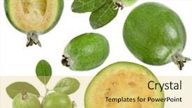  Presentation with guava - Cool new theme with feijoa acca sellowiana - pineapple guava backdrop and a yellow colored foreground