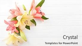  Presentation with lily - Cool new PPT theme with orange lily - beautiful lilies on light wooden backdrop and a white colored foreground