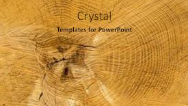  Presentation with tree rings - Colorful slides enhanced with felled tree annual rings on tree grate backdrop and a gold colored foreground