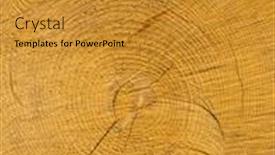  Presentation with tree rings - Beautiful PPT theme featuring felled tree annual rings on tree grate backdrop and a gold colored foreground