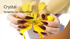  Presentation with lily - Beautiful presentation featuring femal-hands-with-red-nails backdrop and a yellow colored foreground
