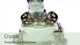  Presentation with brazils amazon - Amazing PPT layouts having female amazon milk frog backdrop and a soft green colored foreground