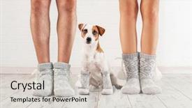  Presentation with family fashion - Beautiful theme featuring female and dog in sock backdrop and a light gray colored foreground