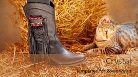  Presentation with straw bale - Cool new PPT theme with female black boot on stable straw bale with a cat relaxed backdrop and a red colored foreground