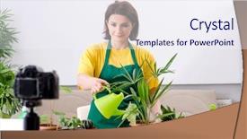  Presentation with seed germination agriculture growing plants - Presentation design consisting of female blogger explaining houseplants growing background and a sky blue colored foreground