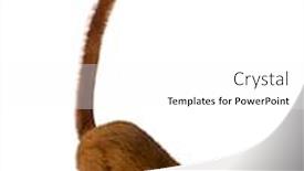  Presentation with lemur - Theme enhanced with female-blue-eyed-black-lemur background and a white colored foreground