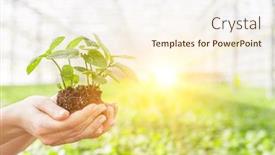  Presentation with nursery plant - Slides enhanced with female-botanist-holding-seedling background and a cream colored foreground