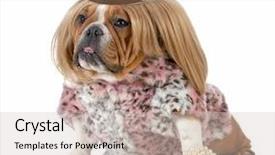  Presentation with british - Cool new theme with female bulldog wearing blonde wig backdrop and a light gray colored foreground