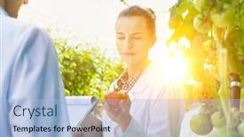  Presentation with crop - Presentation theme featuring female crop scientist holding tomato while male scientist writing report in greenhouse with yellow lens flare in background background and a light blue colored foreground