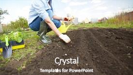  Presentation with garden - PPT theme featuring female farmer sowing seed background and a tawny brown colored foreground