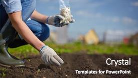 Presentation with seed - Beautiful presentation theme featuring female farmer sowing seed backdrop and a tawny brown colored foreground