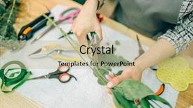  Presentation with process instrumentation - Colorful presentation design enhanced with female florist bouquet preparation process backdrop and a  colored foreground