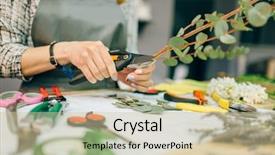  Presentation with process - Amazing PPT layouts having female florist bouquet preparation process backdrop and a  colored foreground