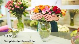  Presentation with roses - Colorful presentation theme enhanced with female florist holding fresh roses backdrop and a mint green colored foreground