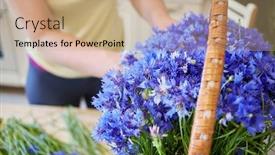  Presentation with female - Presentation theme consisting of female-florist-makes-arrangement background and a coral colored foreground