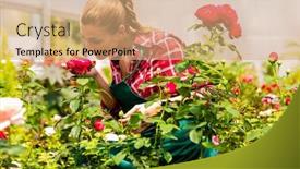  Presentation with flower - Colorful theme enhanced with female-florist-or-gardener backdrop and a coral colored foreground
