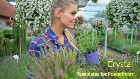 Presentation with nursery - PPT layouts enhanced with female-florist-or-gardener background and a tawny brown colored foreground