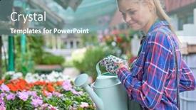  Presentation with nursery - PPT theme consisting of female-florist-or-gardener background and a seafoam green colored foreground