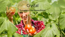  Presentation with harvest apron - Slide deck with female gardener at market gardening background and a yellow colored foreground