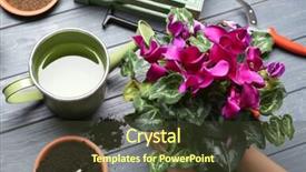  Presentation with planting the seed - Audience pleasing PPT theme consisting of female gardener planting spring plant at table backdrop and a tawny brown colored foreground