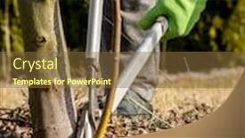  Presentation with tree root - Audience pleasing slide deck consisting of female-gardener-using-pruning-shears backdrop and a tawny brown colored foreground