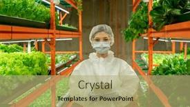  Presentation with greenhouse farm - PPT layouts featuring female-greenhouse-worker-in-protective background and a mint green colored foreground