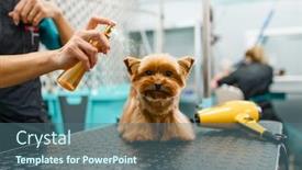  Presentation with dog - Audience pleasing slide set consisting of female-groomer-spraying-a-cute backdrop and a ocean colored foreground