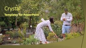  Presentation with botanical garden - PPT layouts enhanced with female-guide-showing background and a tawny brown colored foreground