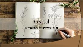  Presentation with hand drawn cartoon of sports - Presentation theme having female hand drawing plants background and a soft green colored foreground