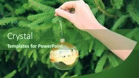  Presentation with fir tree - Presentation theme having female hand hanging christmas ball on fir tree branch background and a forest green colored foreground