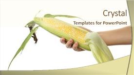  Presentation with corn cob - Beautiful presentation design featuring female hand holding a corn backdrop and a cream colored foreground