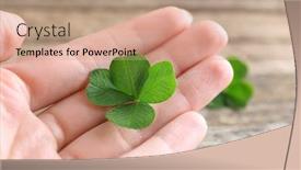  Presentation with clover - Colorful PPT layouts enhanced with female-hand-holding-clover-leaf backdrop and a  colored foreground