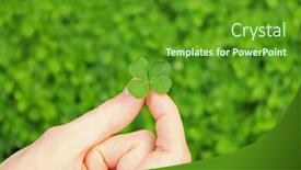 Presentation with clover - Theme having female-hand-holding-clover-leaf background and a tawny brown colored foreground