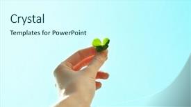  Presentation with clover - Cool new theme with female hand holding clover leaves on blue sky background backdrop and a cool aqua colored foreground