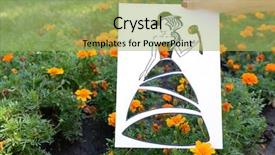  Presentation with fashion - Amazing slide set having female hand holding fashion sketch backdrop and a mint green colored foreground