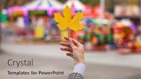  Presentation with maple leaf - PPT theme having female-hand-holds-a-yellow background and a light gray colored foreground
