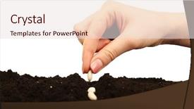  Presentation with soil - Colorful presentation design enhanced with female hand planting white bean backdrop and a lemonade colored foreground