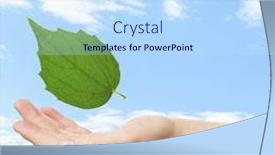  Presentation with green leaf - Audience pleasing slide set consisting of female-hand-with-green-leaf backdrop and a sky blue colored foreground