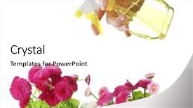  Presentation with sprayer - Presentation theme consisting of female hand with sprayer and flowers isolated on white background and a white colored foreground