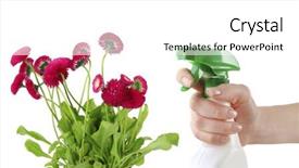  Presentation with sprayer - Presentation design enhanced with female hand with sprayer and flowers isolated on white background and a white colored foreground