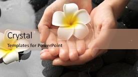  Presentation with manicure - Amazing theme having female hands at spa manicure backdrop and a  colored foreground