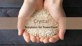  Presentation with rice grain - PPT theme featuring female hands full of brown short grain rice on wooden background background and a coral colored foreground
