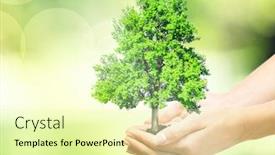  Presentation with green tree - Cool new theme with organic farming - female hands holding green tree backdrop and a soft green colored foreground