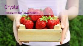  Presentation with strawberries - Colorful slide deck enhanced with female hands holding wooden box with strawberries on blurred nature background backdrop and a sky blue colored foreground