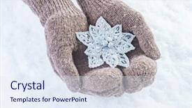  Presentation with sparkling - Audience pleasing PPT theme consisting of female hands in knitted mittens with sparkling wonderful snowflake on a white snow background winter and christmas concept backdrop and a sky blue colored foreground