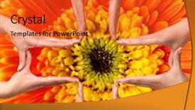  Presentation with medical cross - PPT theme having female hands showing big medical cross symbol concept orange daisy flower background background and a red colored foreground