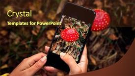 Presentation with mushroom - Slide set featuring female-hands-taking-a-picture background and a tawny brown colored foreground