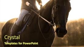  Presentation with horse riding - Slide set having female-horse-rider-riding-outdoors background and a wine colored foreground